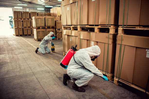 Best Best Pest Control Companies  in White Hall, WV