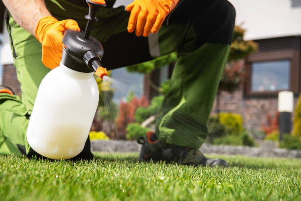 Best Pest Prevention Services  in White Hall, WV